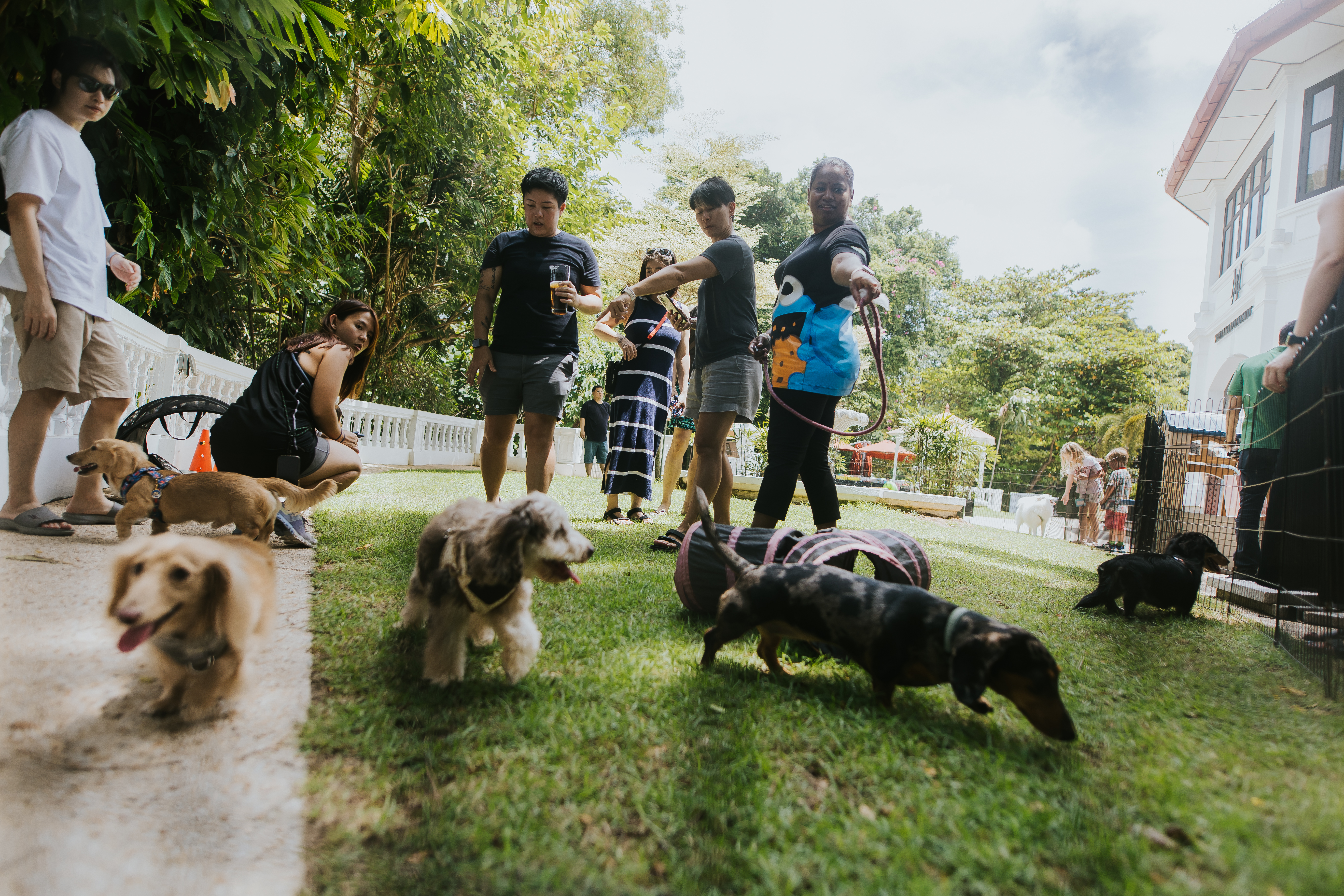 GPSS 2026: Paws, Play, Pit Stop
